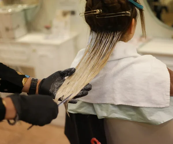 Color Correction Basics: What Every Hairstylist Should Learn